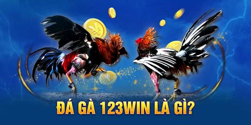 Xuất xứ của đá gà 123win