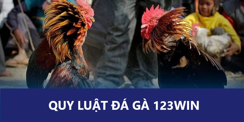 Luật thi đấu đá gà 123win