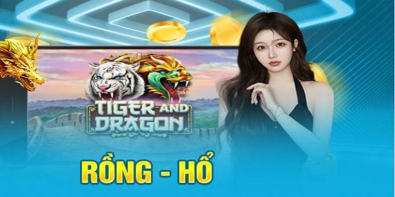 rồng hổ 123win