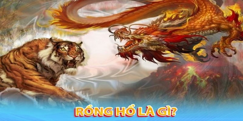 Rồng hổ được cung cấp tại các sảnh cược của 123WIN